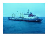 КОММУНАРЫ  НИКОЛАЕВА.  
Фотограф: 7388PetVladVik

Просмотров: 6746
Комментариев: 0