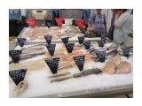 Рыба

Просмотров: 1407
Комментариев: 0