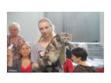 Название: 91f6f086053eff4cb5a3216448312351
Фотоальбом: Я
Категория: Люди

Просмотров: 200
Комментариев: 0