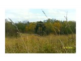 SAM_9033

Просмотров: 3326
Комментариев: 0