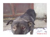 друг

Просмотров: 1248
Комментариев: 