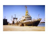 ЖАРКИЙ  перед выходом на сайру
Фотограф: 7388PetVladVik

Просмотров: 6209
Комментариев: 2
