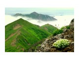 Название: Вид на Владимирскую
Фотоальбом: Сергей Асауленко
Категория: Пейзаж

Время съемки/редактирования: 2010:08:16 15:14:09
Фотокамера: PENTAX Corporation  - PENTAX K20D        
Диафрагма: f/19.0
Выдержка: 1/125
Фокусное расстояние: 4500/100
Светочуствительность: 800


Просмотров: 2779
Комментариев: 3