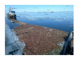 20120118_008

Просмотров: 5197
Комментариев: 0