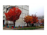 DSC04760

Просмотров: 232
Комментариев: 0