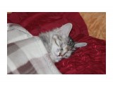 IMG_9460

Просмотров: 374
Комментариев: 0