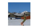 I will be back

Просмотров: 3601
Комментариев: 0