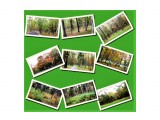 bloggif_617df6c6acd4c

Просмотров: 213
Комментариев: 0