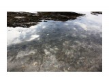Отражение
Фотограф: vikirin

Просмотров: 1797
Комментариев: 0