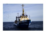 КАЛИНИНСК.  
Фотограф: 7388PetVladVik

Просмотров: 5748
Комментариев: 0