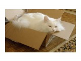 Ура! Коробка! 

Просмотров: 738
Комментариев: 0