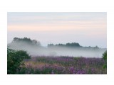 2016 08 09 туман на полях в Белом....
Фотограф: vikirin

Просмотров: 1744
Комментариев: 0