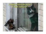 x_6aa8f418

Просмотров: 584
Комментариев: 0