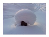 Снежный пенек
Фотограф: vikirin

Просмотров: 3846
Комментариев: 0