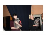 Название: IMG_4998
Фотоальбом: выставка кошек 29.11.2009
Категория: Животные

Время съемки/редактирования: 2009:11:29 16:42:55
Фотокамера: Canon - Canon EOS 1000D
Диафрагма: f/5.0
Выдержка: 1/60
Фокусное расстояние: 40/1
Светочуствительность: 400


Просмотров: 463
Комментариев: 0
