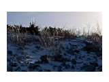 Хрустальный лес
Фотограф: фотохроник

Просмотров: 547
Комментариев: 0