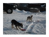 SAM_1870

Просмотров: 2304
Комментариев: 