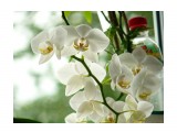 orchid

Просмотров: 2427
Комментариев: 0