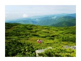 Название: 20
Фотоальбом: 2009.08.09 Пик Чехова
Категория: Природа

Время съемки/редактирования: 2009:08:09 16:13:16
Фотокамера: Samsung Techwin - 
Диафрагма: f/2.8
Выдержка: 1/1000
Фокусное расстояние: 74/10
Светочуствительность: 50


Просмотров: 599
Комментариев: 0