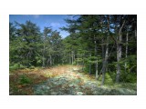 Название: Берендеево царство
Фотоальбом: Разное
Категория: Природа
Фотограф: Mikhaylovich

Время съемки/редактирования: 2015:03:12 19:35:26
Фотокамера: NIKON CORPORATION - NIKON D200
Диафрагма: f/5.6
Выдержка: 10/1000
Фокусное расстояние: 160/10



Просмотров: 3848
Комментариев: 0