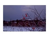 МАЯК
Фотограф: фотохроник

Просмотров: 1498
Комментариев: 0