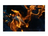 Физика огня...
Фотограф: vikirin

Просмотров: 2087
Комментариев: 0