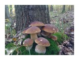 бг

Просмотров: 2102
Комментариев: 2