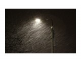 В буран..
Фотограф: vikirin

Просмотров: 3286
Комментариев: 0