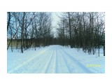 кр (20)

Просмотров: 3058
Комментариев: 0