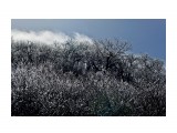 Хрустальный лес
Фотограф: фотохроник

Просмотров: 588
Комментариев: 1