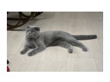 Название: C
Фотоальбом: Разное
Категория: Животные

Просмотров: 671
Комментариев: 0