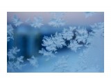 Название: DSC05466
Фотоальбом: УЗОРЫ МОРОЗНЫЕ...
Категория: Разное
Фотограф: vikirin

Время съемки/редактирования: 2015:12:29 12:49:03
Фотокамера: SONY - NEX-5T
Диафрагма: f/5.6
Выдержка: 1/80
Фокусное расстояние: 420/10



Просмотров: 1383
Комментариев: 0