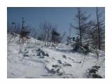Название: P1010668
Фотоальбом: г.Медика 15.02.2014г.
Категория: Природа

Просмотров: 370
Комментариев: 0