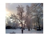 Первый снег 29 октября.. Пушистое утро
Фотограф: vikirin

Просмотров: 3067
Комментариев: 0