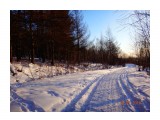 лиственницы

Просмотров: 474
Комментариев: 0