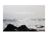 Море в тумане
Фотограф: vikirin

Просмотров: 2769
Комментариев: 0
