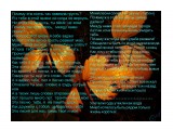 Почему эта осень так навеяла грусть
Фотограф: alexei1903

Просмотров: 2541
Комментариев: 0