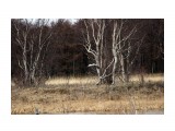 I

Просмотров: 137
Комментариев: 0