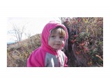 1

Просмотров: 3066
Комментариев: 1