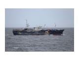 ПОСЕЙДОН.  (бывший MATSUEI MARU 58,  ИМО: 8821383, MMSI: 273382360
Фотограф: 7388PetVladVik

Просмотров: 3442
Комментариев: 0