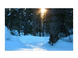 В лесу на закате.. зимнее солнце..
Фотограф: vikirin

Просмотров: 2945
Комментариев: 0