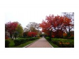 DSC04803
Сквер у театра.

Просмотров: 129
Комментариев: 0