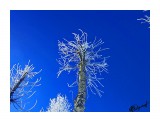 Деревья
Фотограф: alexei1903

Просмотров: 1845
Комментариев: 0