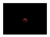 Название: IMG_2232 (640x480)
Фотоальбом: Разное
Категория: Природа
Описание: Затмение 08.10.14г.
"Кровавая луна"

Просмотров: 3699
Комментариев: 0