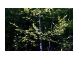 Контраст
Фотограф: vikirin

Просмотров: 2807
Комментариев: 0