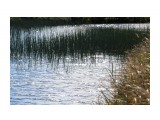 Озерцо в тундре..
Фотограф: vikirin

Просмотров: 2637
Комментариев: 0