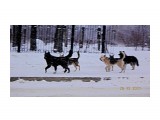 DSC08282
"банда"

Просмотров: 218
Комментариев: 0