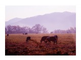 IMG_0717