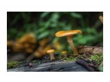 :)
Фотограф: Tsygankov Yuriy

Просмотров: 541
Комментариев: 0