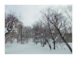 DSCN0013
Фотограф: Меркулова Ольга

Просмотров: 1338
Комментариев: 0
